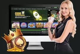Local browsing habits and section switching on 5555bet in Bangladesh